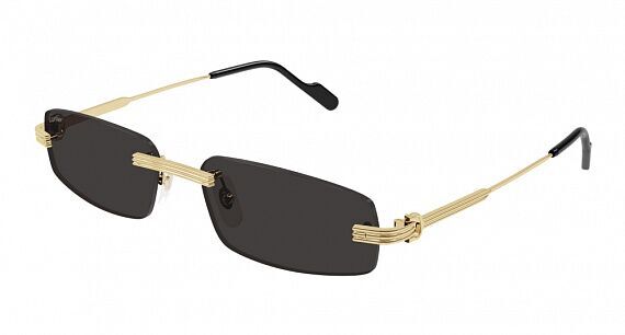 Cartier CT0535S 001