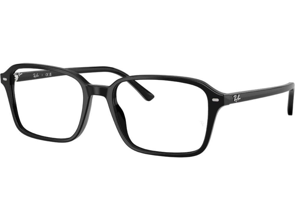 Ray-Ban 0RX5431 / 54 2000