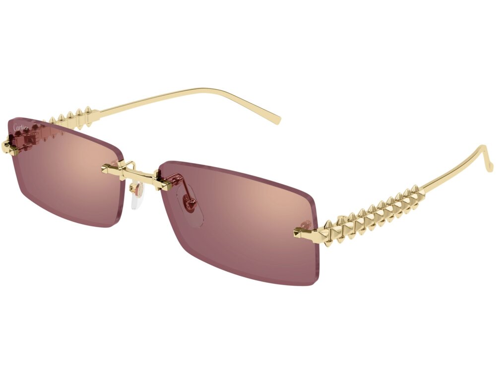 Cartier CT0604S 004