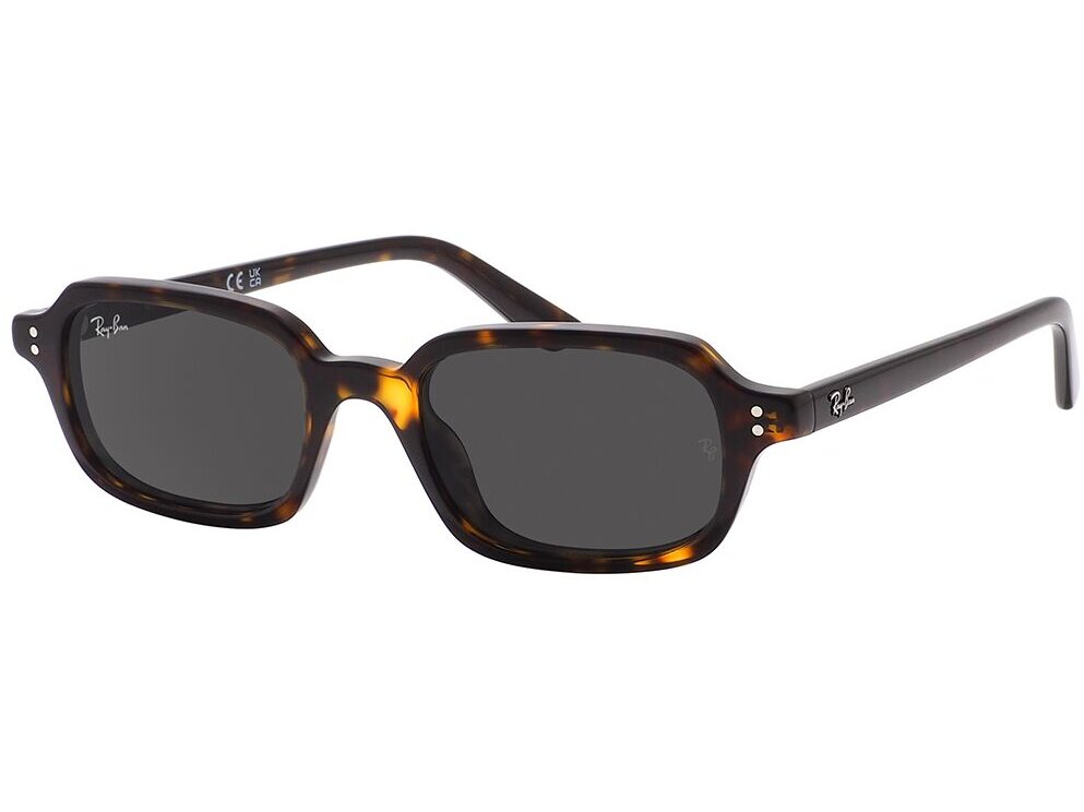 Ray-Ban 0RB4455 / 52 135987