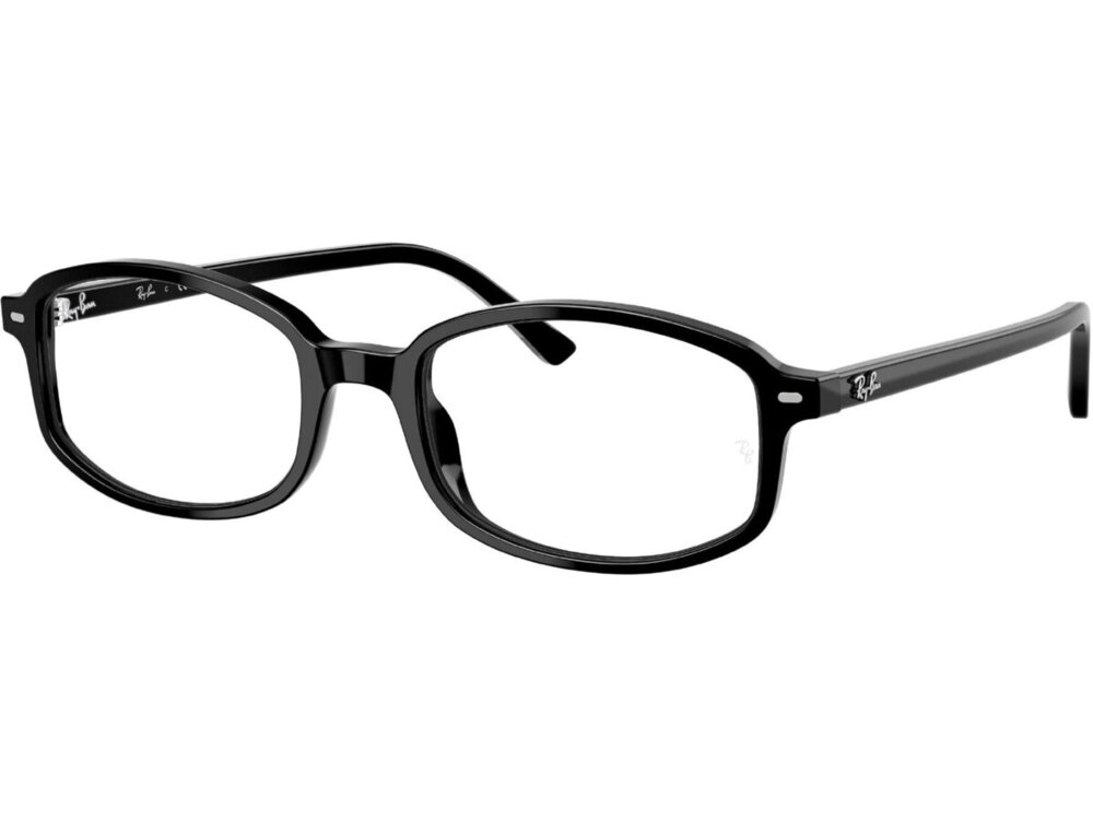 Ray-Ban 0RX5432 / 52 2000
