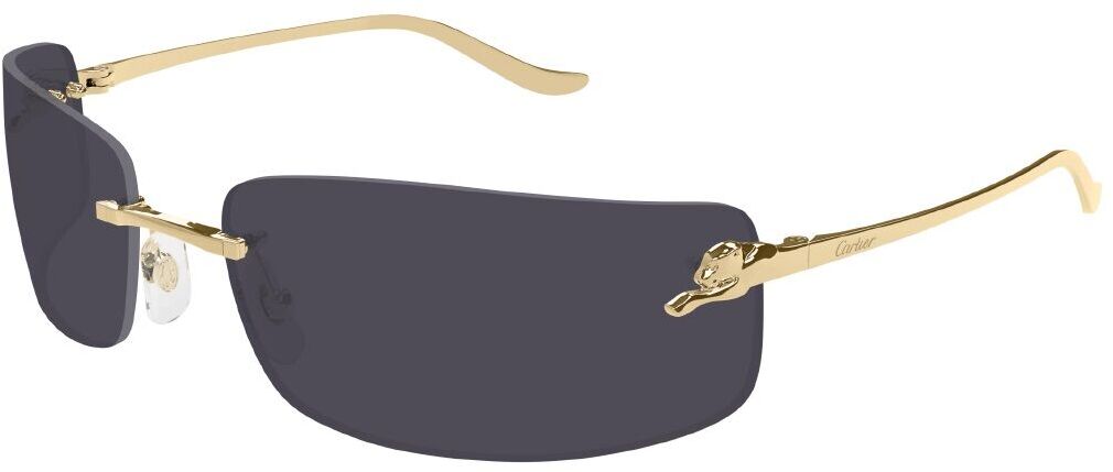 Cartier CT0503S 001