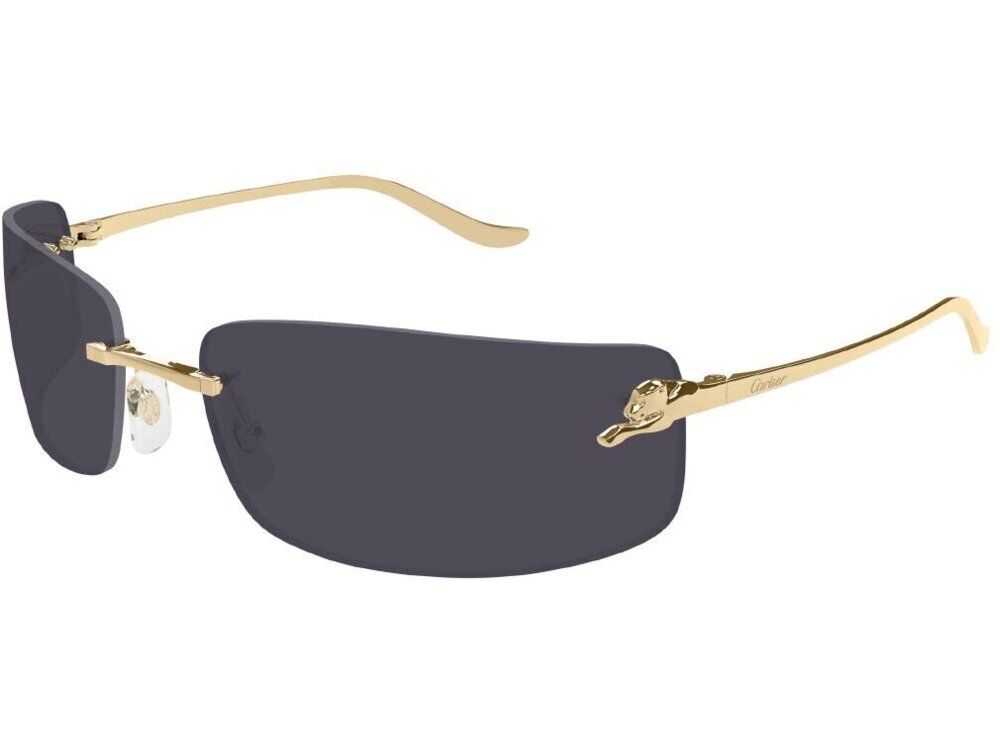 Cartier CT0503S 001