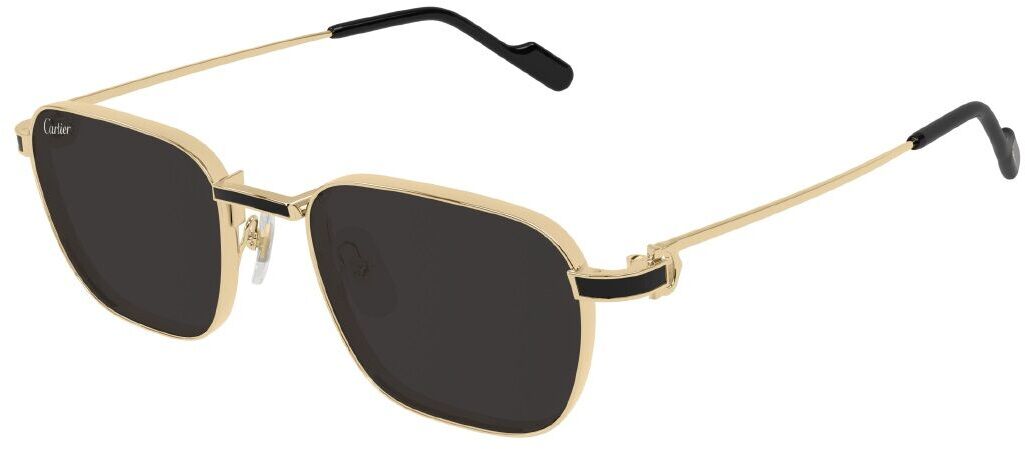 Cartier CT0497S 006