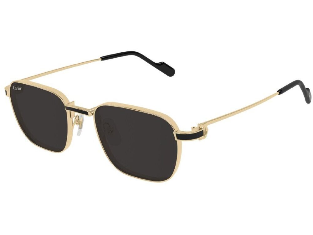Cartier CT0497S 006