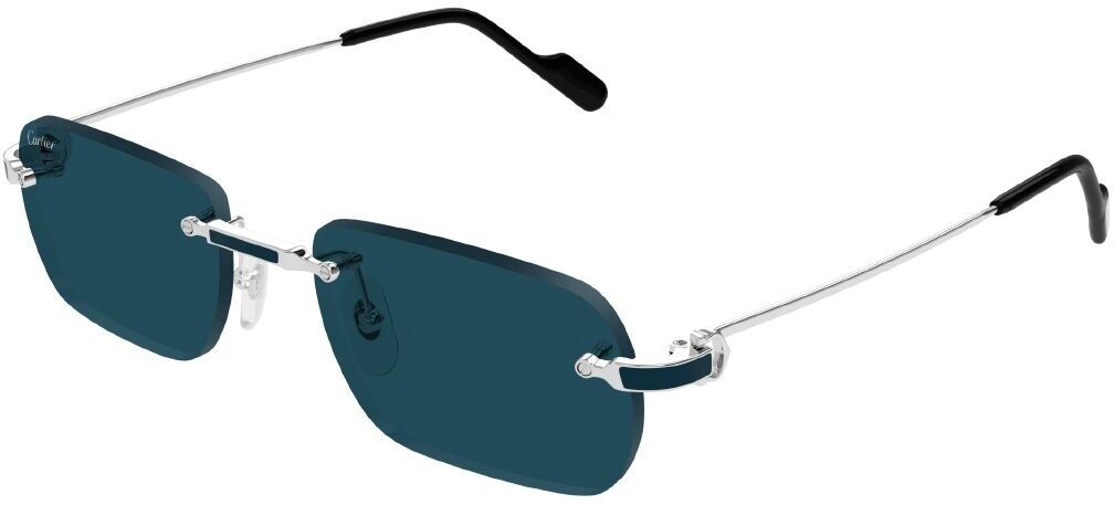 Cartier CT0498S 004