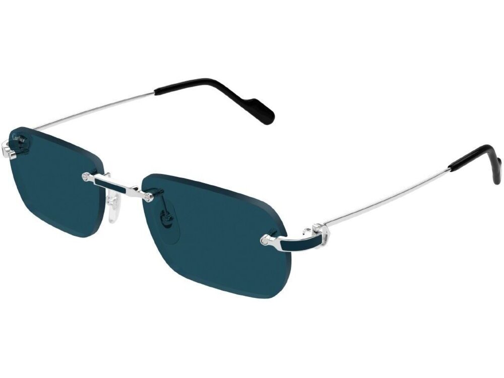 Cartier CT0498S 004