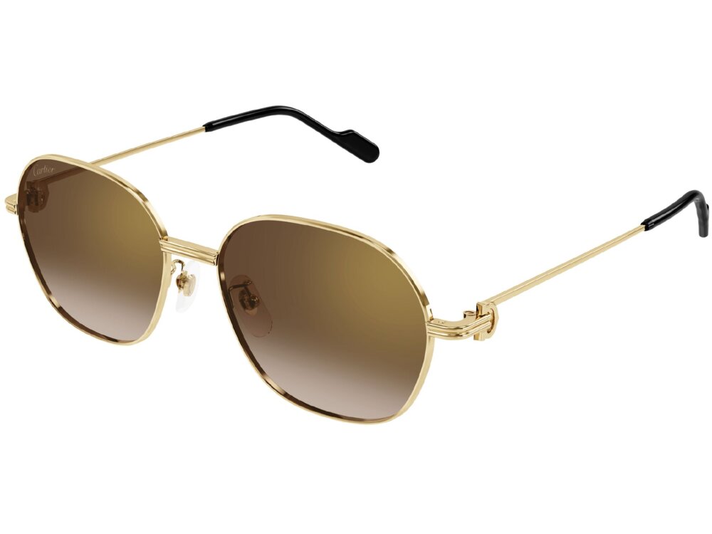 Cartier CT0569SA 002