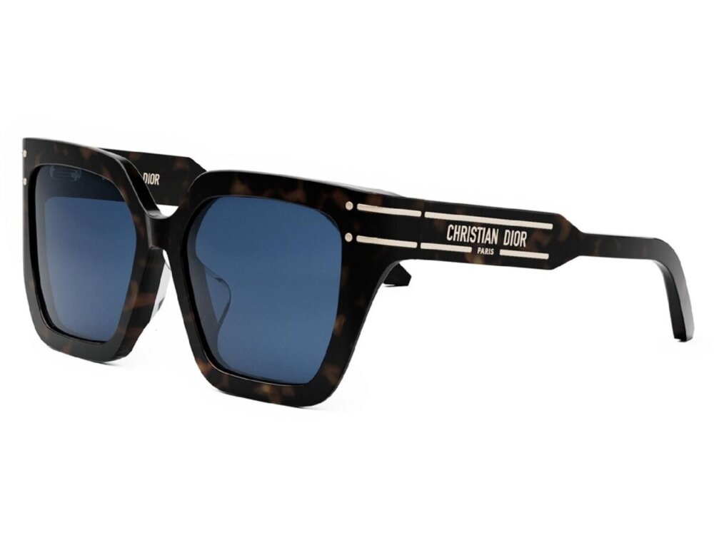 Dior DIORSIGNATURE S10F 20B0