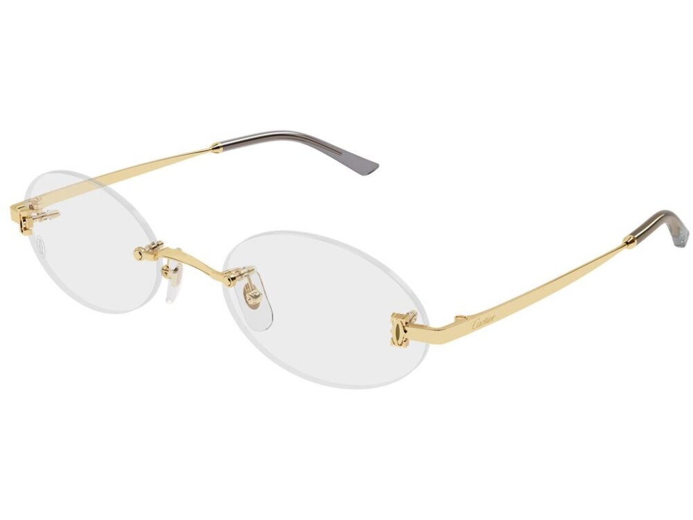 Cartier CT0594O 001