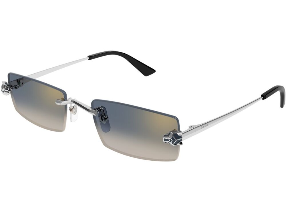 Cartier CT0598S 002