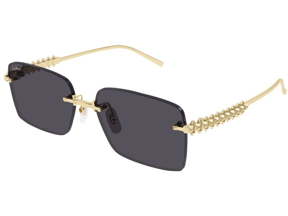 Cartier CT0545S 002