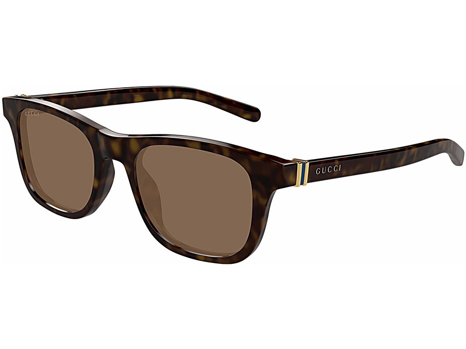 Gucci GG1671S 006