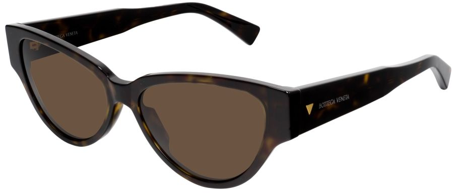 Bottega Veneta BV1319S 002