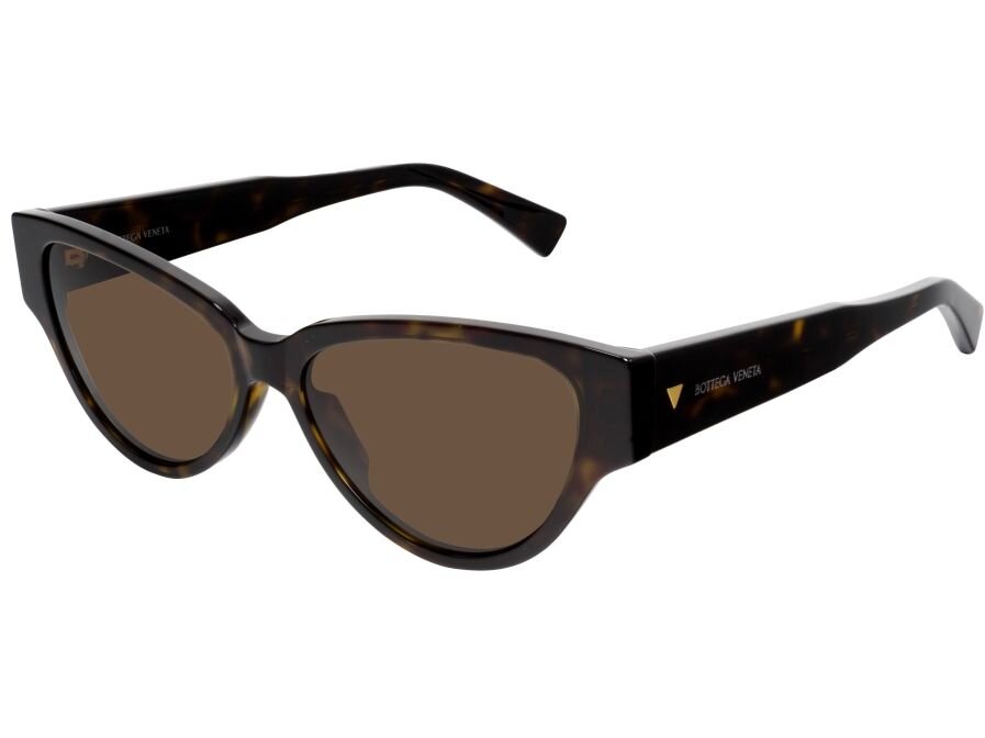 Bottega Veneta BV1319S 002