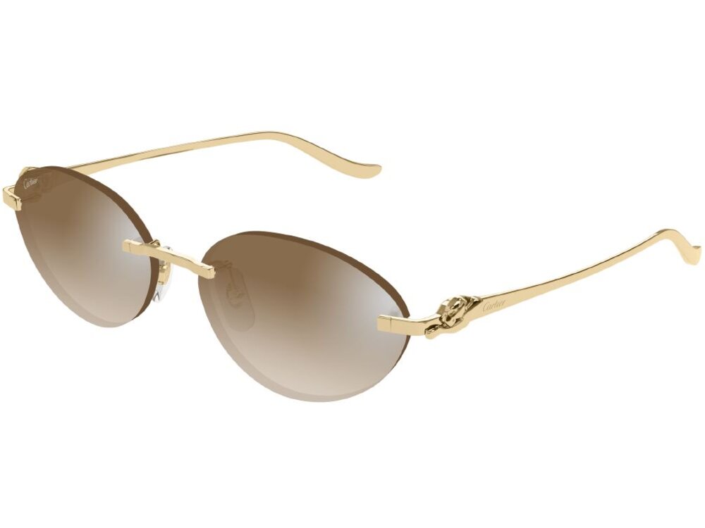Cartier CT0504S 003