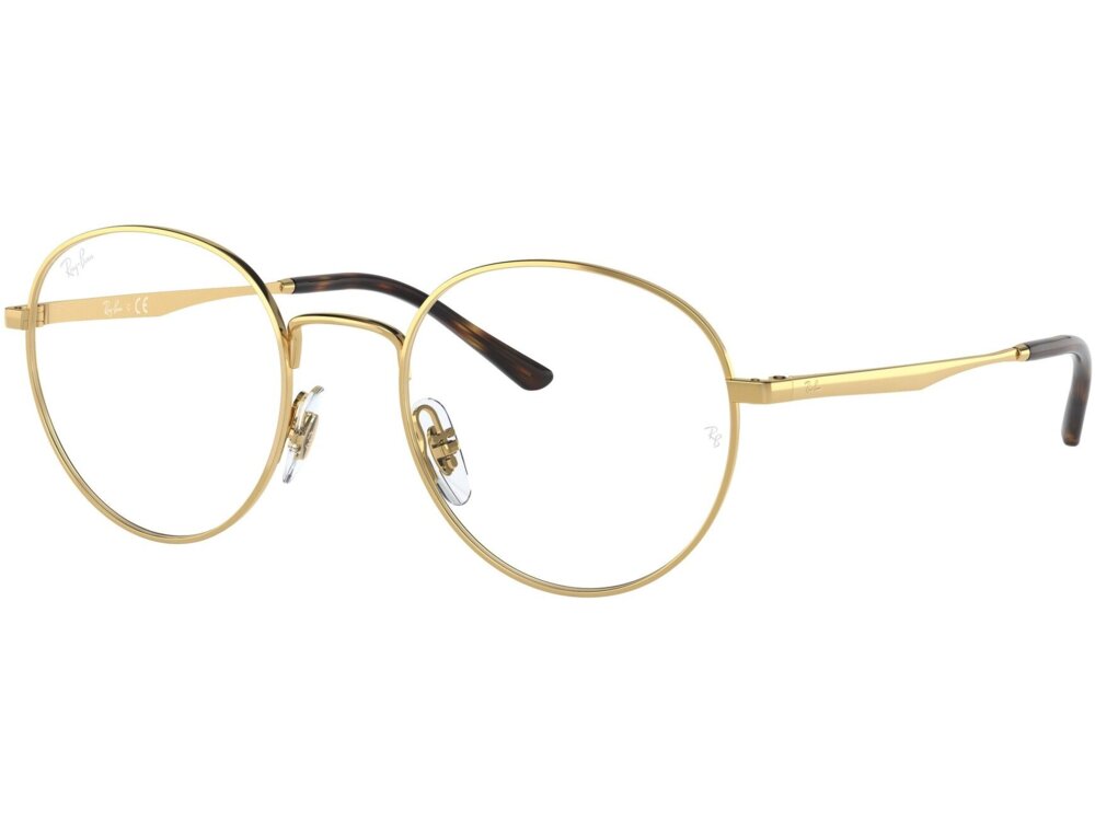 Ray-Ban 0RX3681V / 48 2500