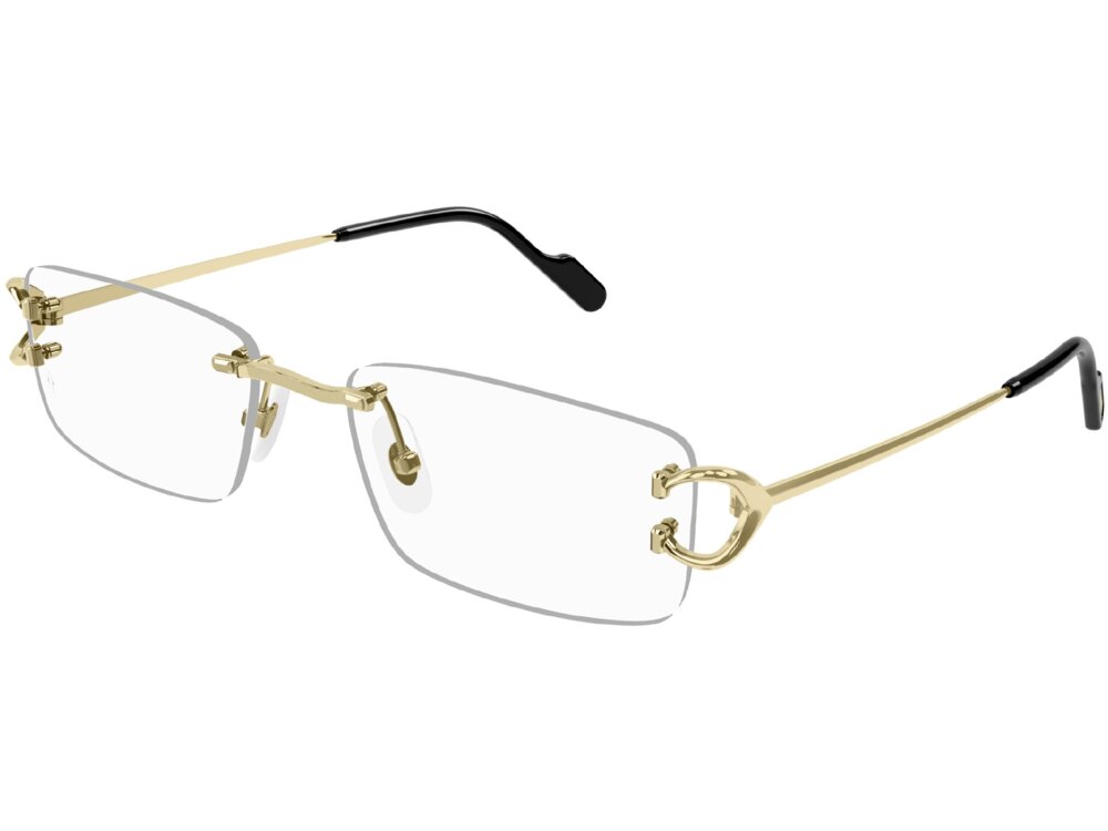 Cartier CT0344O 001