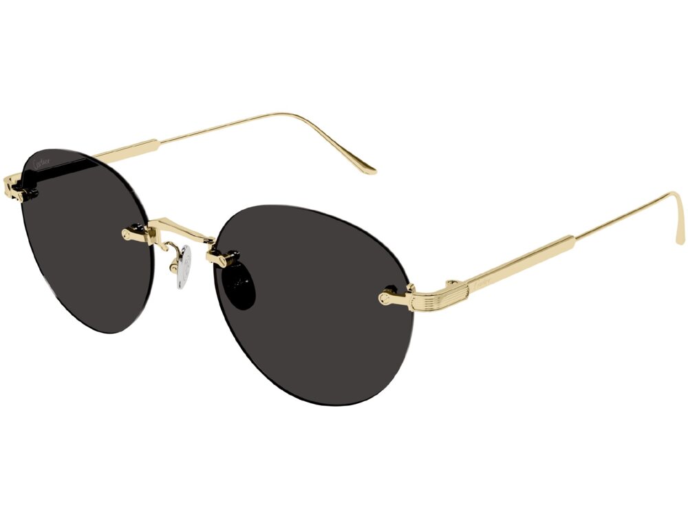 Cartier CT0393S 002