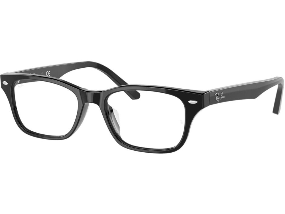 Ray-Ban 0RX5345D / 53 2000