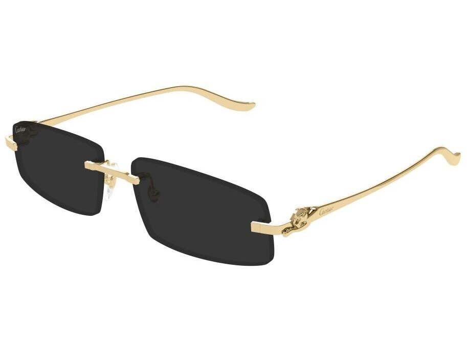 Cartier CT0505S 001