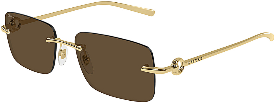 Gucci GG1703S 004