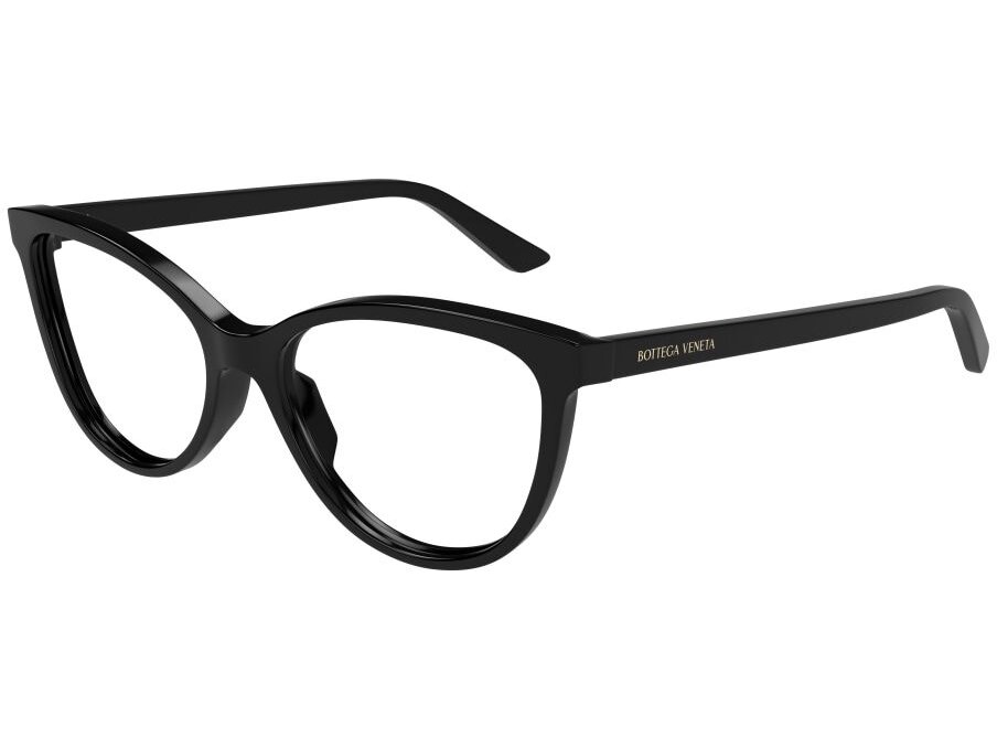 Bottega Veneta BV1313O 006
