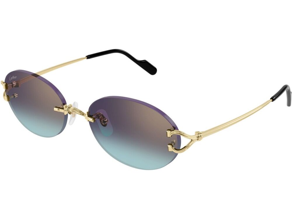 Cartier CT0551S 008