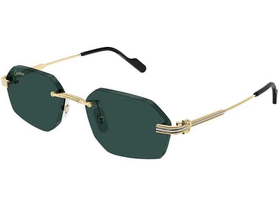 Cartier CT0616S 003