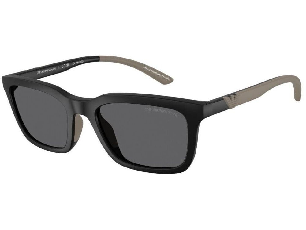 Emporio Armani 0EA4249U / 55 500181