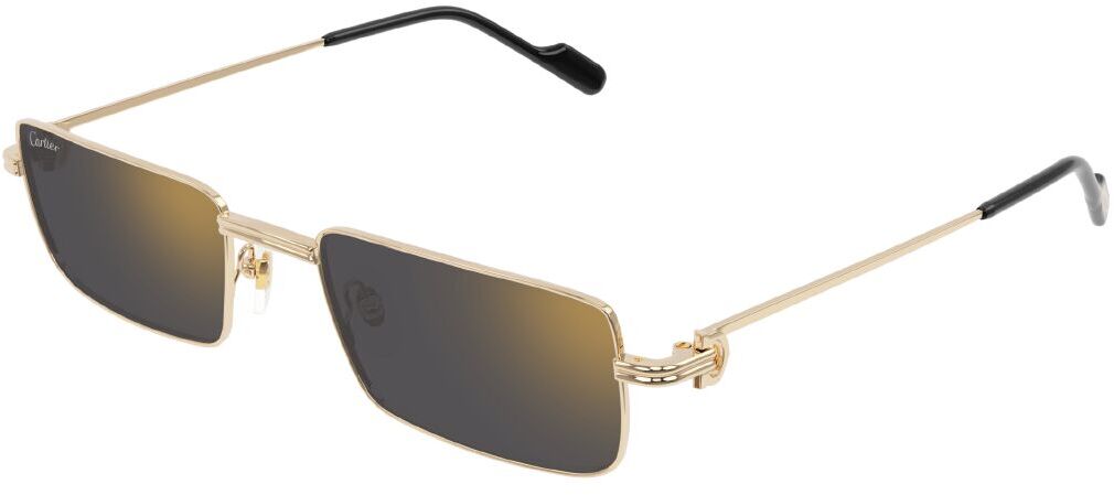Cartier CT0501S 001
