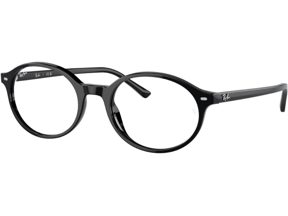 Ray-Ban 0RX5429 / 51 2000