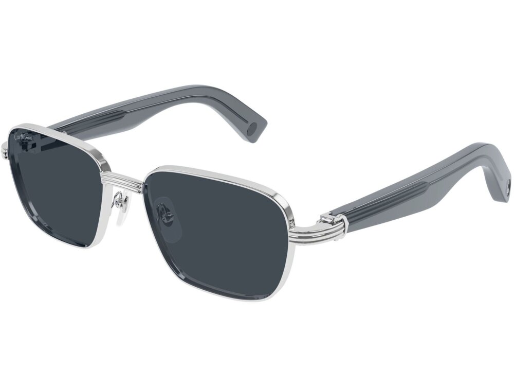 Cartier CT0538S 008