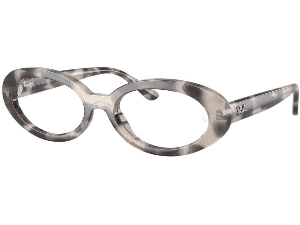 Ray-Ban 0RX2223V / 52 8480