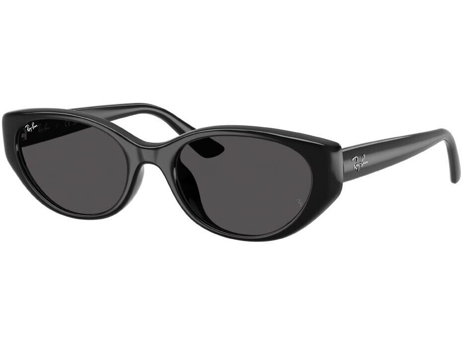 Ray-Ban 0RB4457D / 55 667787