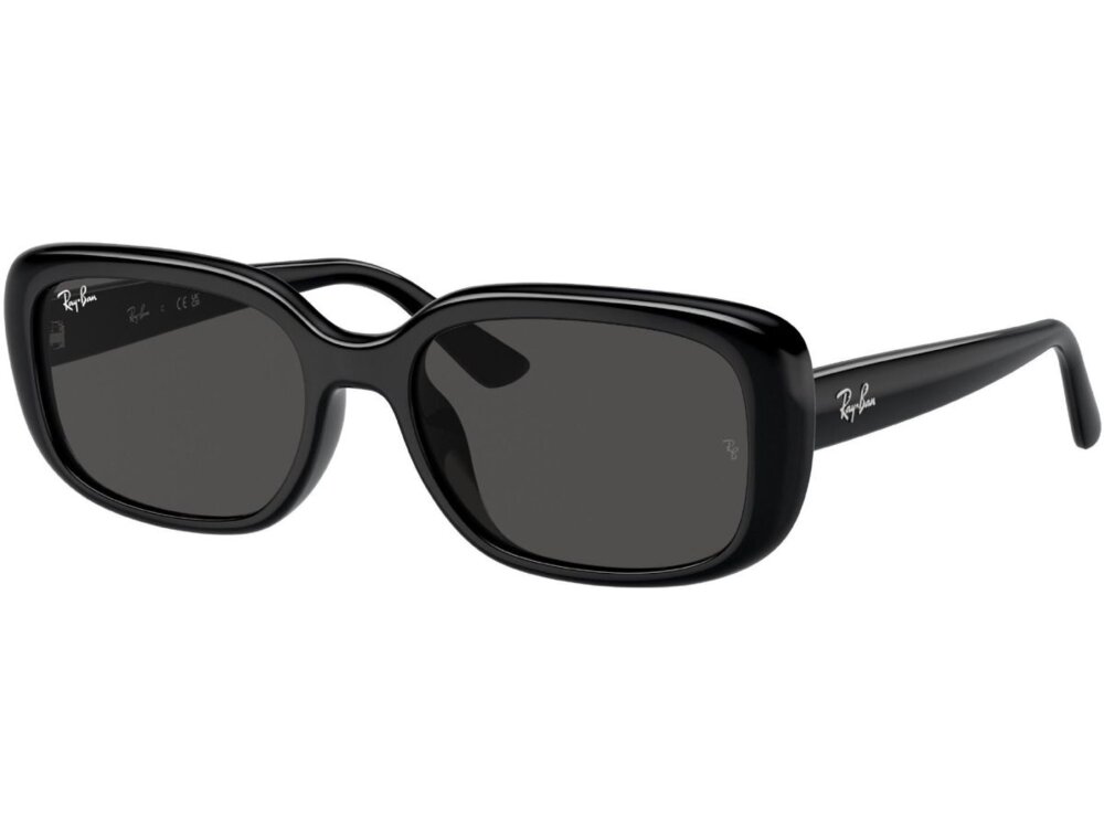 Ray-Ban 0RB4421D / 56 667787