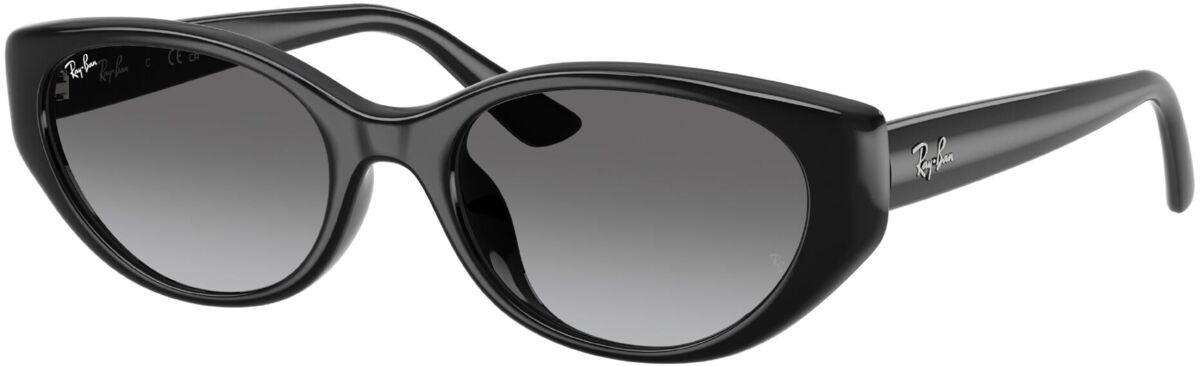 Ray-Ban 0RB4457D / 55 667711
