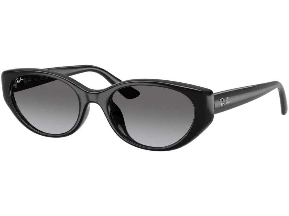 Ray-Ban 0RB4457D / 55 667711