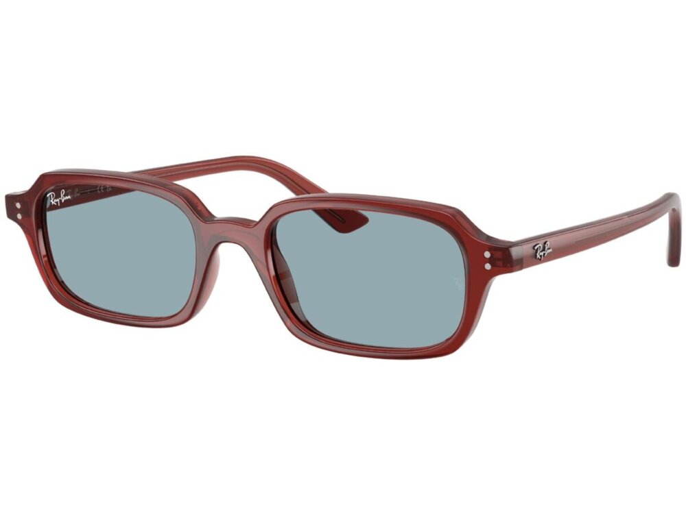 Ray-Ban 0RB4455 / 52 680980