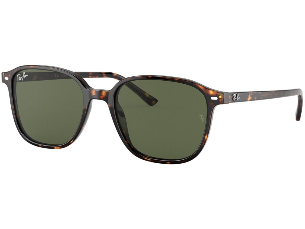 Ray-Ban 0RB2221 / 53 902/31