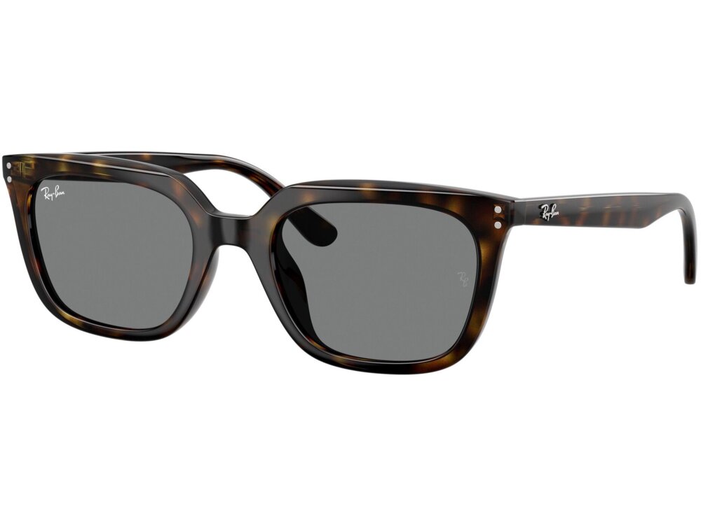 Ray-Ban 0RB4439D / 54 710/87