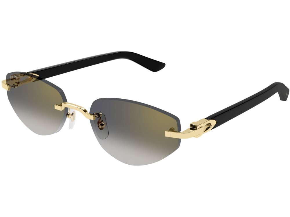 Cartier CT0580S 001