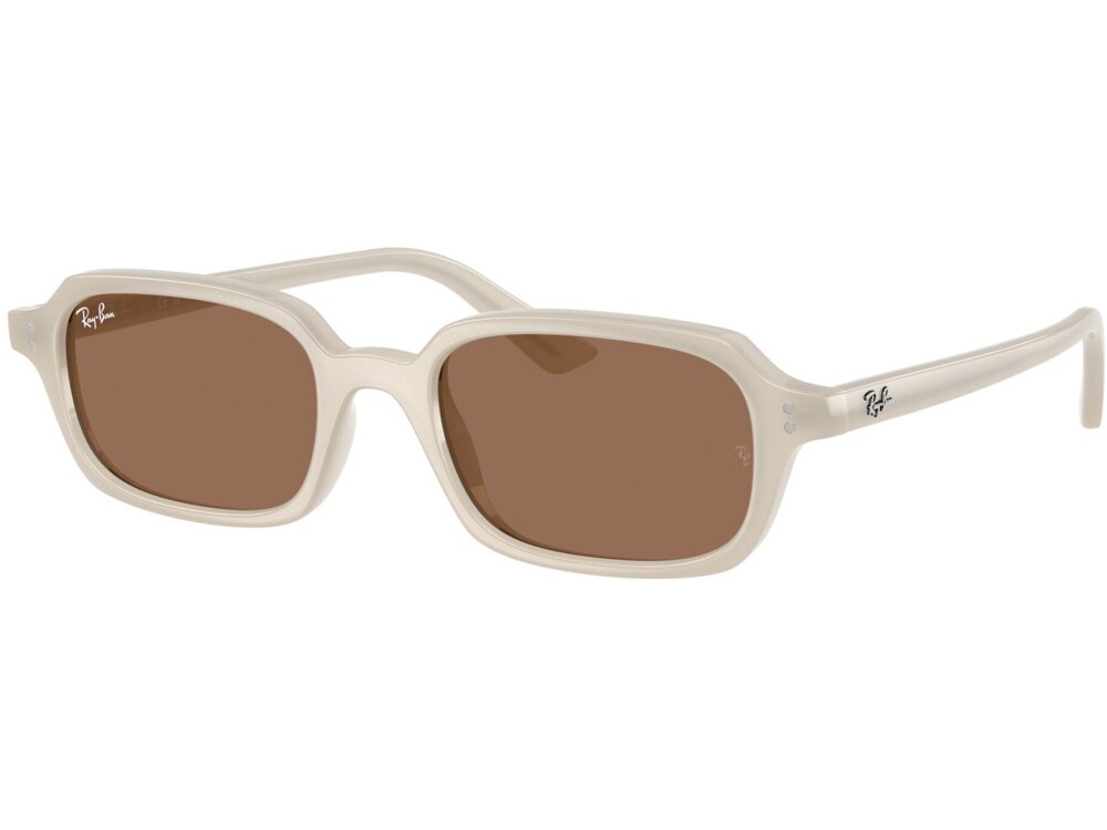 Ray-Ban 0RB4455 / 52 680873