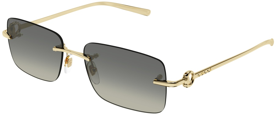 Gucci GG1703S 005