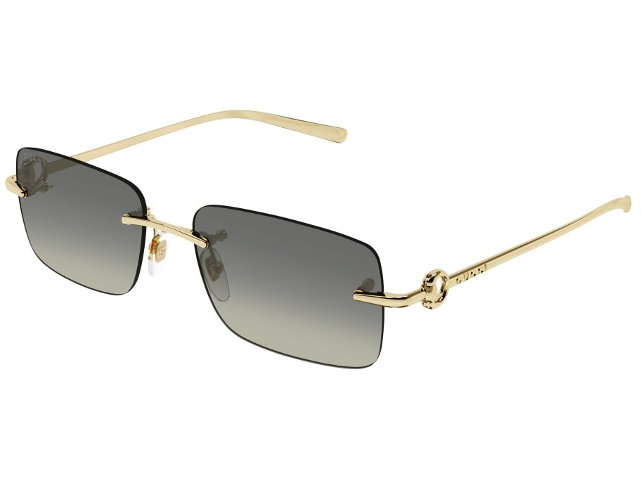 Gucci GG1703S 005